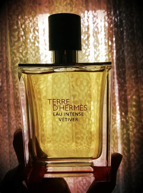 terre d hermes vetiver|hermes terre fragrantica.